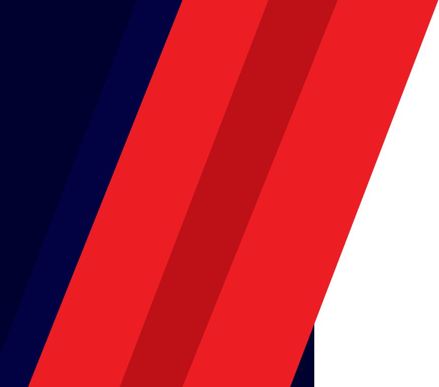 Cyber Sheild