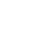 Cyber Sheild