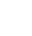 Cyber Sheild