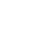 Cyber Sheild